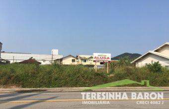 Terreno - Bairro Limoeiro